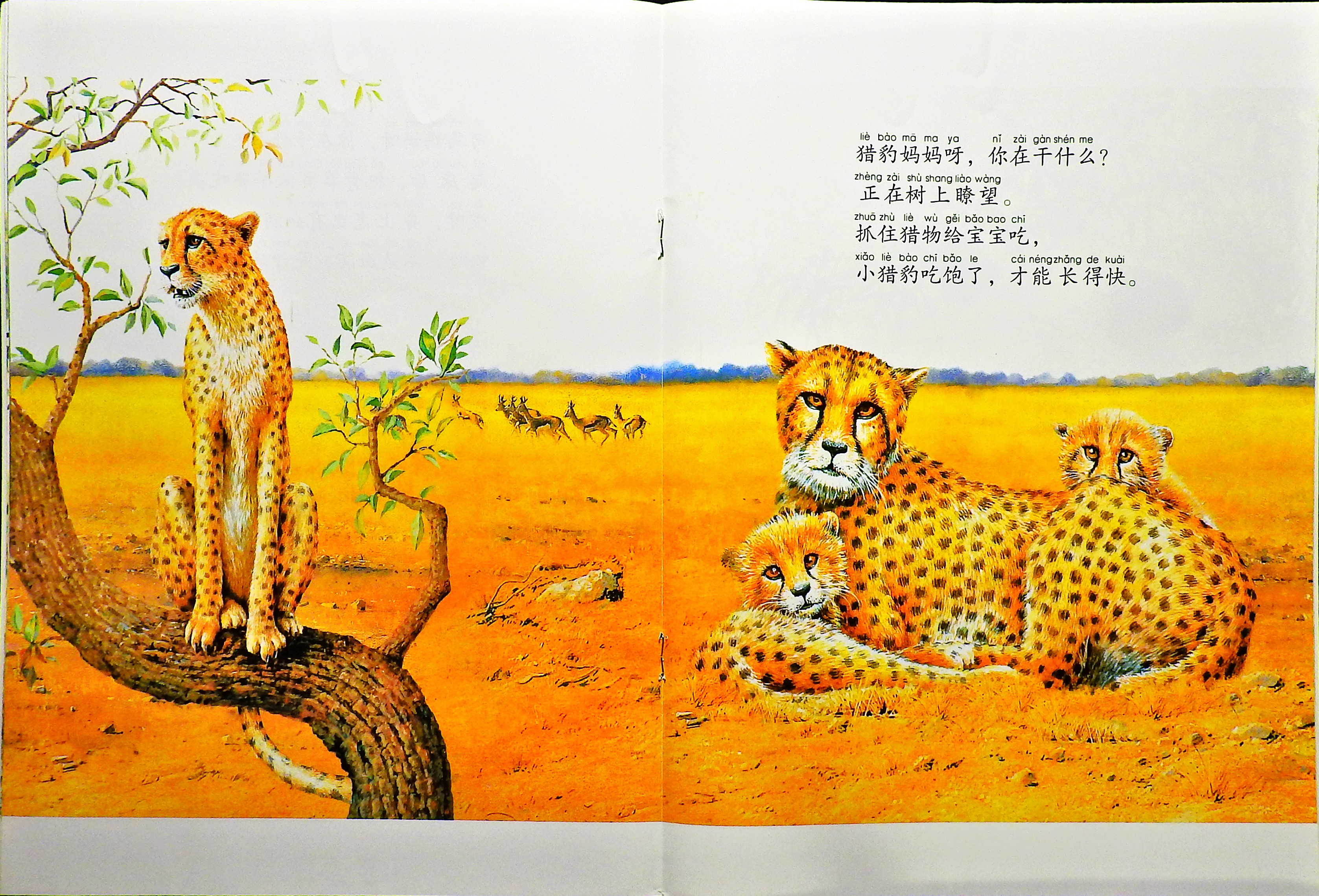 它们在干什么？ (08),绘本,绘本故事,绘本阅读,故事书,童书,图画书,课外阅读